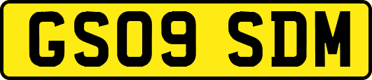 GS09SDM
