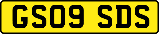 GS09SDS