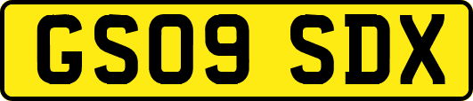 GS09SDX