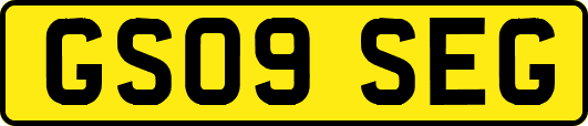 GS09SEG