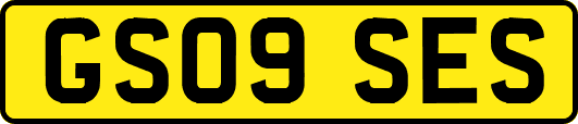 GS09SES