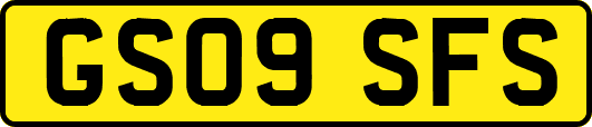 GS09SFS
