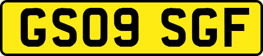 GS09SGF