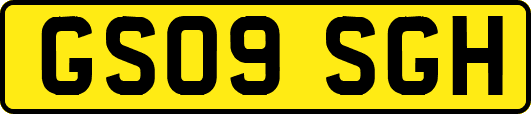 GS09SGH