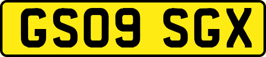 GS09SGX