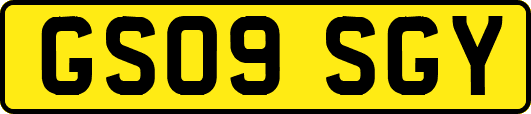 GS09SGY