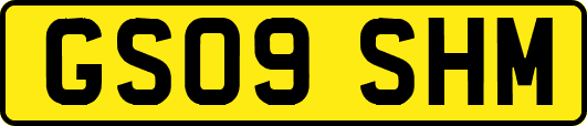 GS09SHM