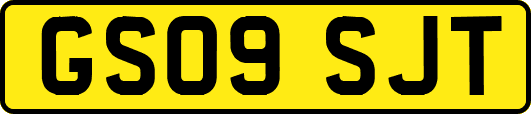 GS09SJT