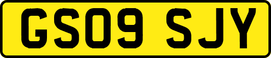 GS09SJY