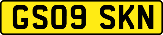 GS09SKN