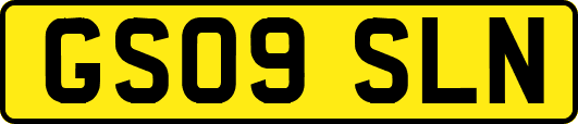 GS09SLN