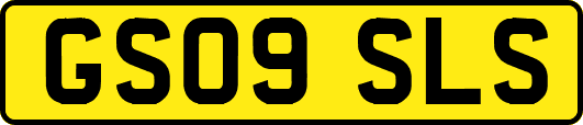 GS09SLS