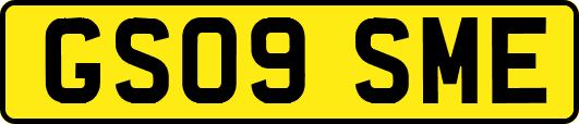 GS09SME