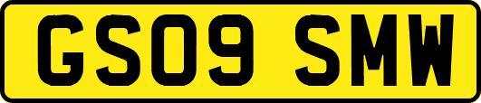 GS09SMW