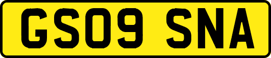 GS09SNA