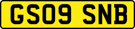 GS09SNB