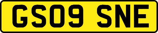 GS09SNE