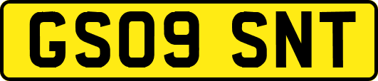 GS09SNT