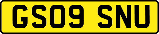 GS09SNU