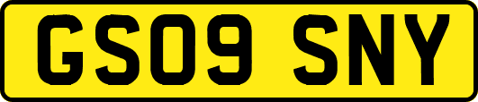 GS09SNY