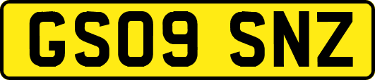 GS09SNZ