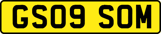 GS09SOM