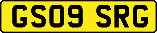 GS09SRG