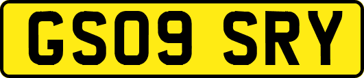 GS09SRY