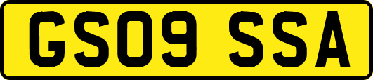 GS09SSA