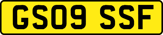 GS09SSF