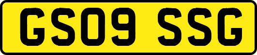 GS09SSG