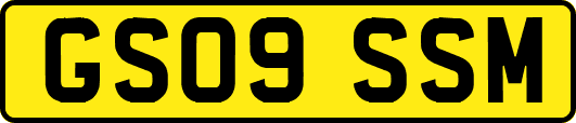 GS09SSM