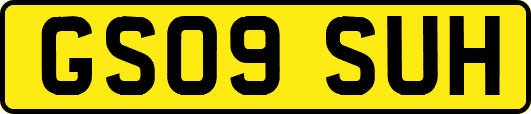 GS09SUH