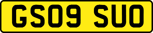 GS09SUO