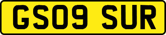 GS09SUR