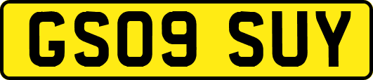 GS09SUY