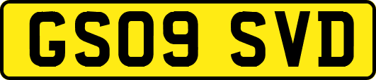 GS09SVD