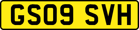 GS09SVH