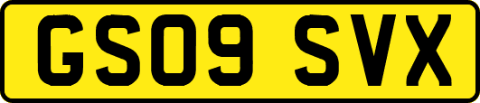 GS09SVX