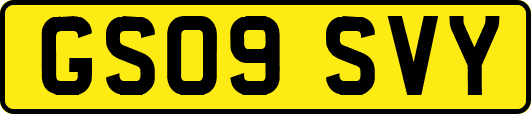 GS09SVY
