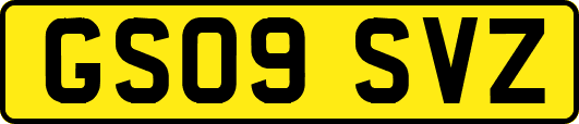 GS09SVZ
