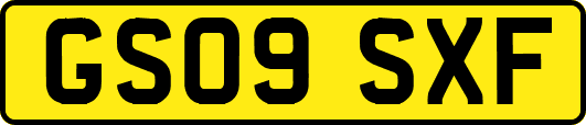 GS09SXF