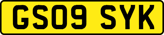 GS09SYK