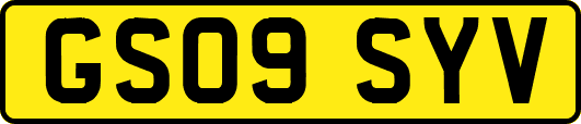 GS09SYV