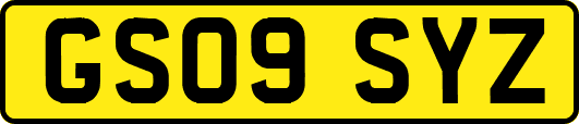 GS09SYZ