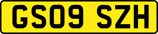 GS09SZH