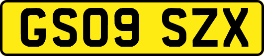 GS09SZX