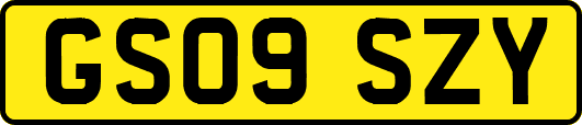 GS09SZY