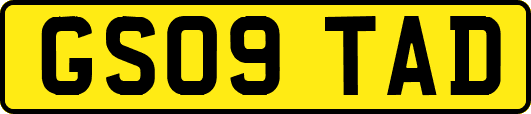 GS09TAD