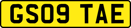 GS09TAE
